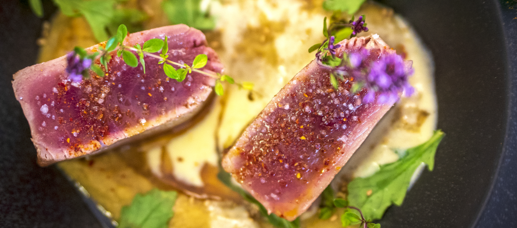 Portfolio // Gastronomie
